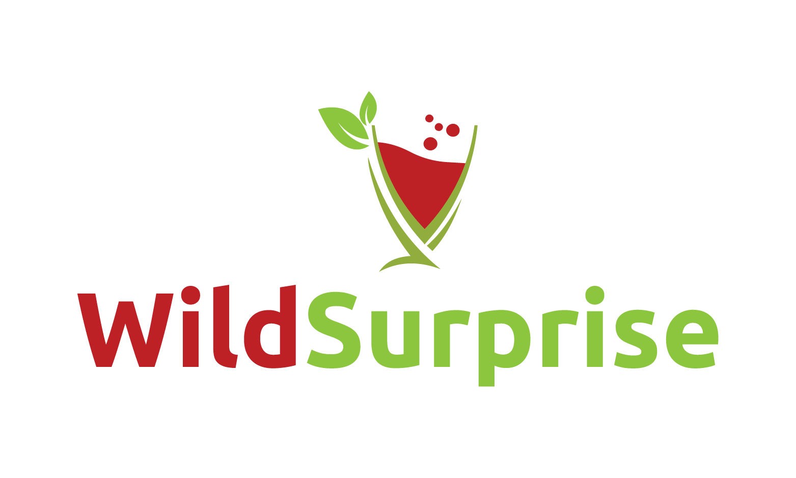 Available Business Name For Sale - WildSurprise